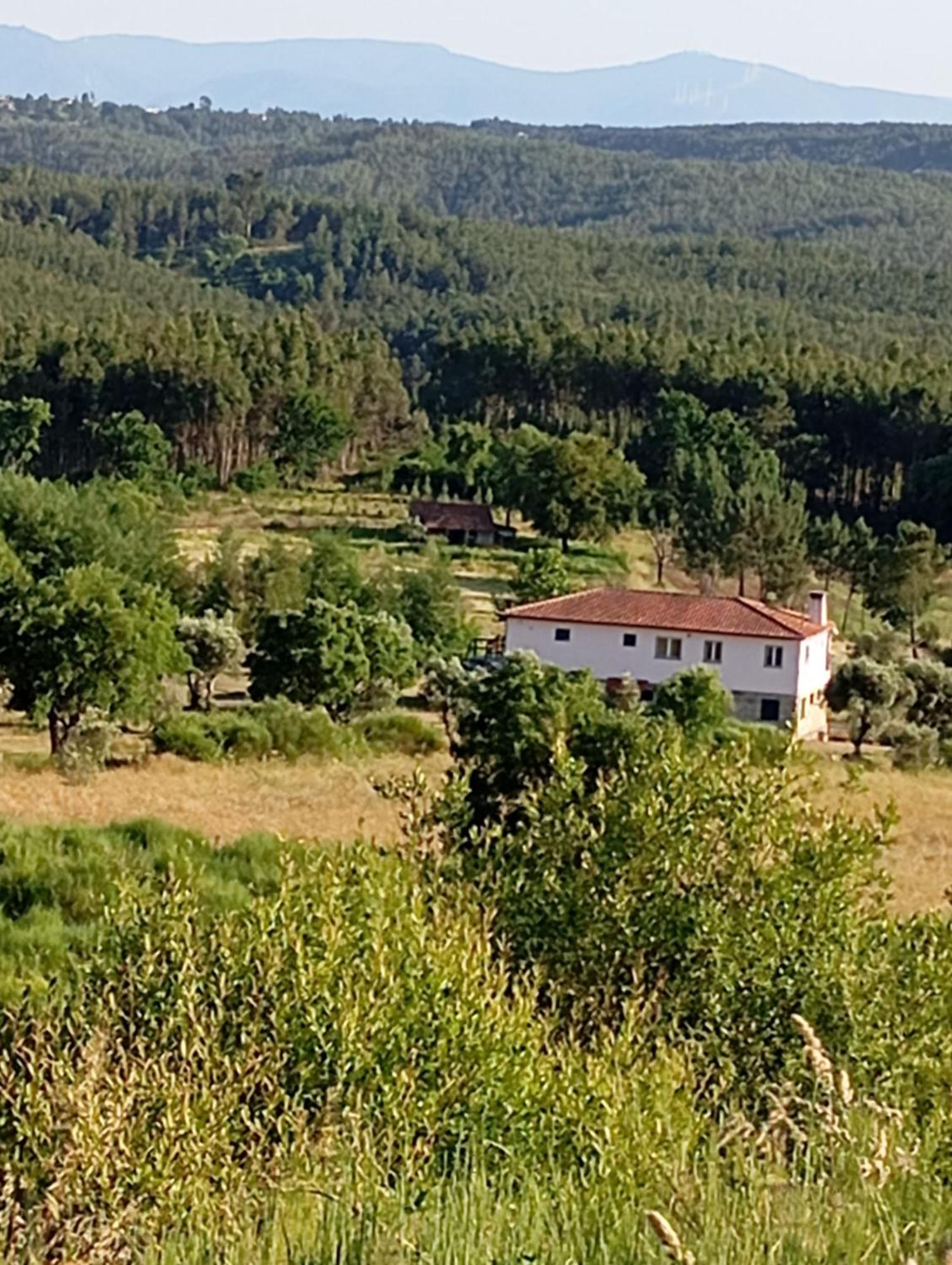 Quinta Da Barroca Do Cabo Bed & Breakfast Ázere Exterior foto